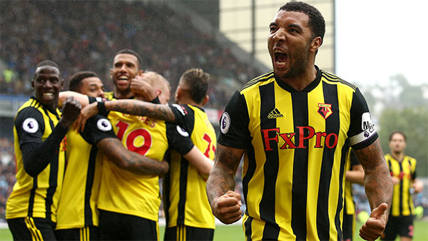 Watford F.C. – The Hornets (Ong mật)