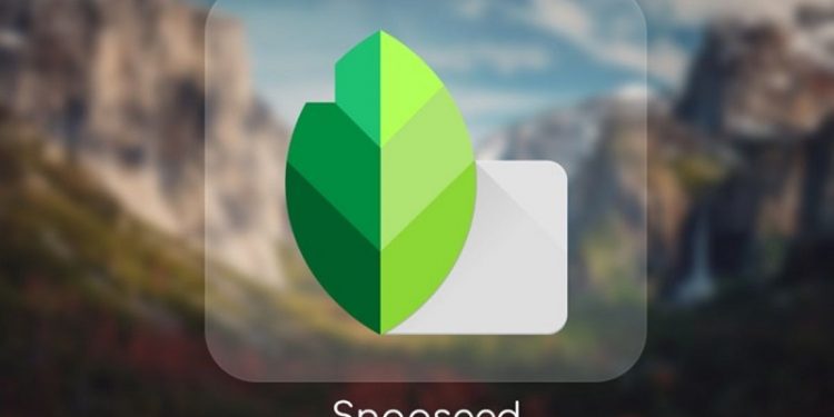 TOP app chụp ảnh mờ hậu cảnh tốt nhất hiện nay