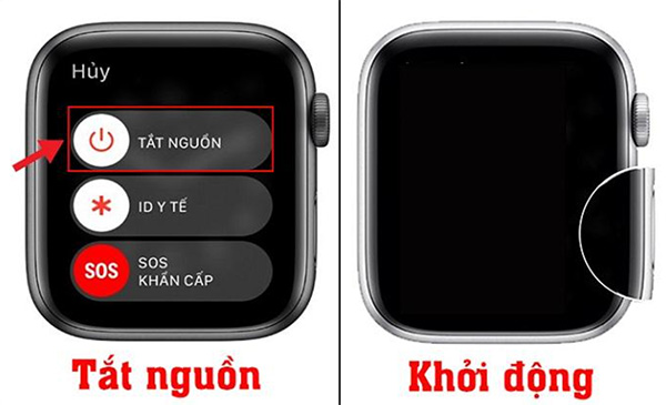 Tắt nguồn và khởi động lại Apple Watch.